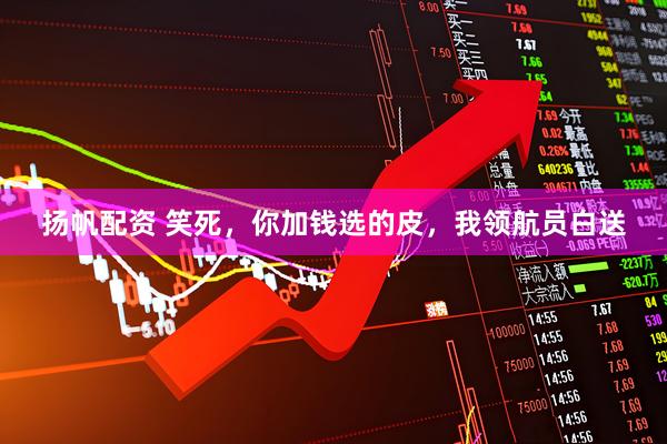 扬帆配资 笑死，你加钱选的皮，我领航员白送